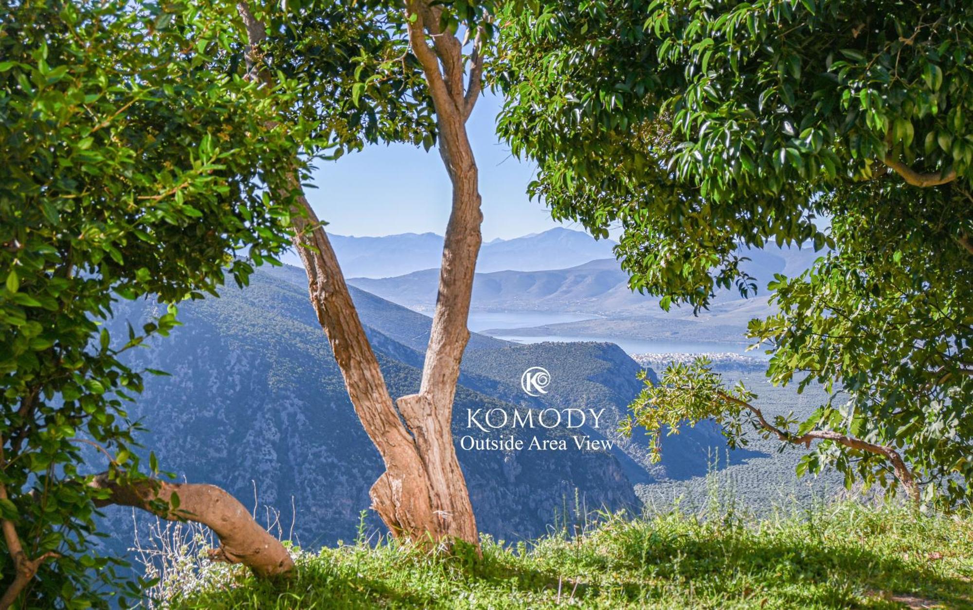 Komody Дельфы Экстерьер фото